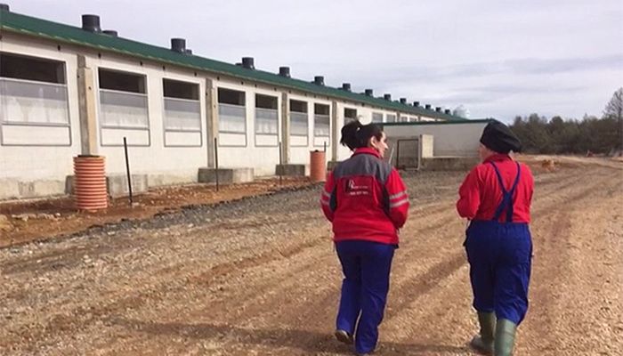 ASAJA Cuenca denuncia una campaña de acoso y desprestigio contra los ganaderos de porcino