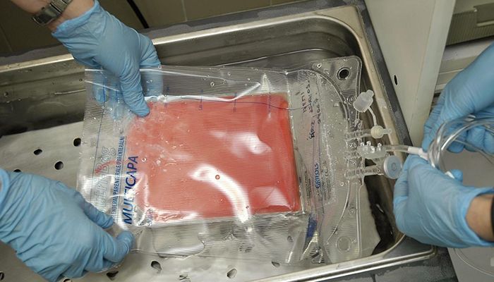 Castilla-La Mancha es la región en la que más ha crecido porcentualmente el total de donantes de médula ósea en el último año