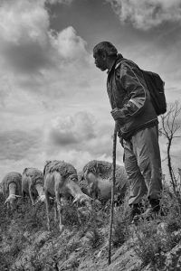 El MAC Florencio de la Fuente arranca con fuerza el nuevo trimestre cultural de Huete
