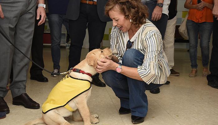 La Junta espera unanimidad en la aprobación de la nueva ley que ampliará el acceso al entorno de perros de asistencia