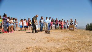 La Junta recupera al año 2.500 aves en los centros de Castilla-La Mancha