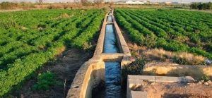 Los ribereños de Entrepeñas y Buendía reclaman una auditoría de los regadíos del Levante a la ministra Ribera