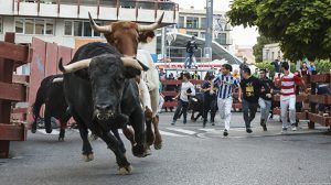 Once personas asistidas por quemaduras en los toros de fuego en Guadalajara.., y dos mujeres detenidas por conducir pasadas de copas 