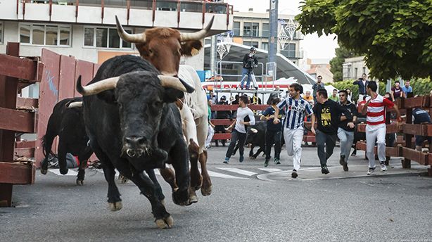 Once personas asistidas por quemaduras en los toros de fuego en Guadalajara.., y dos mujeres detenidas por conducir pasadas de copas