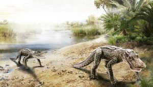 Tamajón ofrece un fin de semana de lo más arqueológico