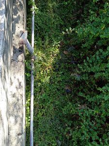 Yolanda Ramírez mantiene su exigencia de acometer con carácter urgente un Plan de Mantenimiento Vial en el Casar-Mesones