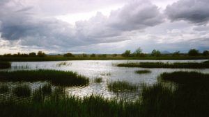 Abierto el plazo de matrícula de la XVIII edición del Máster en Ingeniería y Gestión Medioambiental de la UCLM