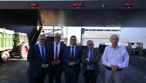 Castilla-La Mancha, líder en viñedo ecológico, con una superficie que supera las 55.500 hectáreas y una producción de dos millones de hectolitros