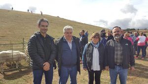 Enjuto resalta el apoyo de la Diputación de Guadalajara para seguir manteniendo la Feria de Ganado de Cantalojas 2 Enjuto resalta el apoyo de la Diputación de Guadalajara para seguir manteniendo la Feria de Ganado de Cantalojas