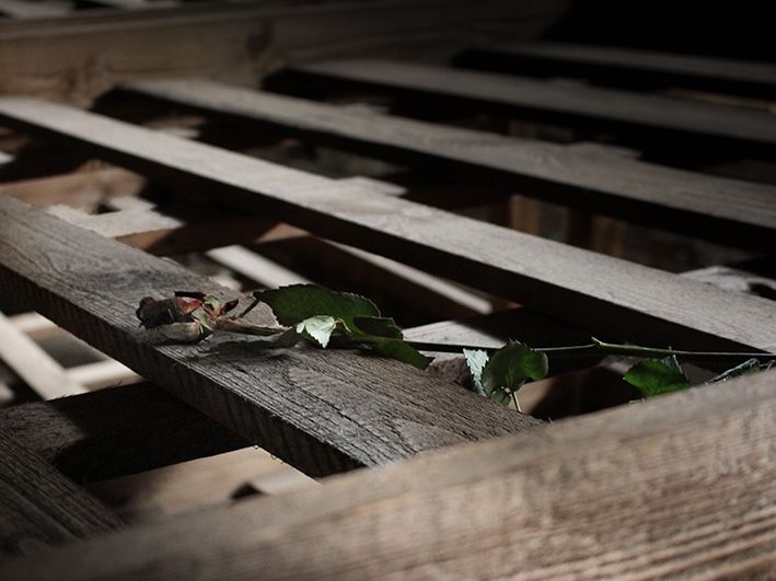 Este miércoles se inaugura en la Facultad de Periodismo la exposición TIKÚN La vida actual de los judíos en Alemania