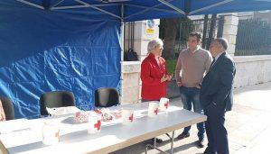 La Diputación de Guadalajara colabora un año más con el Día de la Banderita de Cruz Roja