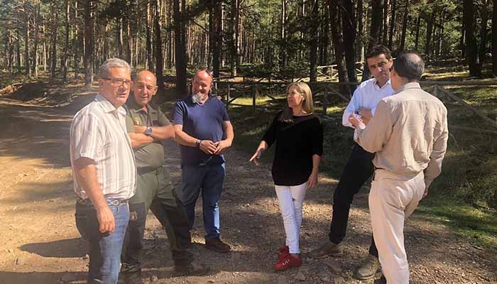 La Junta destina medio millón de euros para limpiar y evitar plagas en los montes afectados en Guadalajara por las nevadas de la pasada primavera