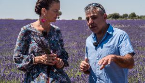 La lavanda de Brihuega, ingrediente estrella de la cocina de MasterChef Celebrity este próximo domingo, a las 2205