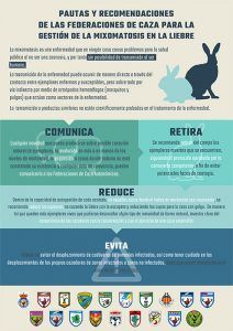 La RFEC y las FFAA siguen trabajando para atajar la situación de la mixomatosis en las liebres