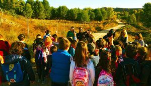Los alumnos de los colegios San Pedro Apóstol y La Alcarria visitan Castillejos