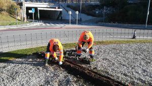 Parques, jardines y zonas verdes de la ciudad están siendo objeto  de las habituales labores de  plantación de flor de temporada invernal.  Esta actuación se enmarca dentro del plan de trabajo habitual de la Concejalia de Medio Ambiente del Ayuntamiento de Guadalajara. En total, se van a plantar 30.000 ejemplares de viola, pensamiento y ciclamen, especies florales propias del otoño invierno. Las plantaciones se iniciaron a principios de la semana pasada y se prolongarán hasta medidos del presente mes de noviembre. Se están realizando en distintas zonas de la ciudad, entre otras, Santo Domingo, plaza y calle Mayor, plaza Beladíez, plaza de España,  avenida del Ejército, zona Eduardo Guitián, rotonda de los Scouts, Cuatro Caminos, parque de Adoratrices, etc.