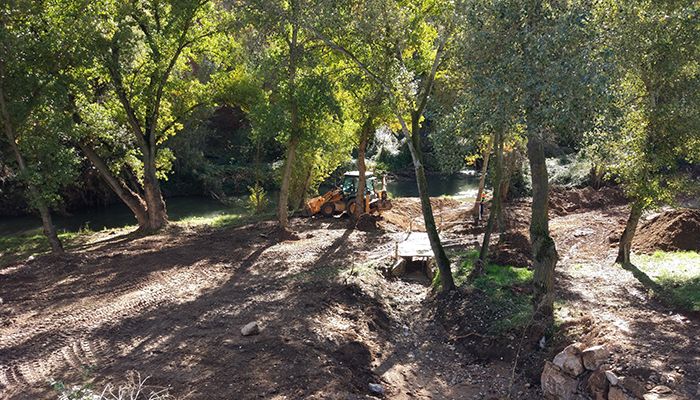 Avanzan a buen ritmo los trabajos de limpieza y tratamiento selectivo de la ribera del río Henares