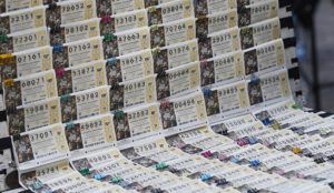 Cae en El Casar el primer premio del sorteo de la Lotería Nacional