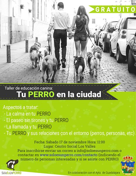 El 17 de noviembre, en el centro social Los Valles, nueva sesión de los talleres de adiestramiento de perros