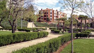 El Ayuntamiento de Guadalajara llevará a cabo una actuación integral de limpieza y mantenimiento en el Nuevo Alamín a partir del lunes