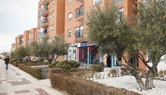 El Ayuntamiento de Guadalajara repartirá 75.000 euros entre 55 comunidades de vecinos para el mantenimiento de zonas privadas de uso público