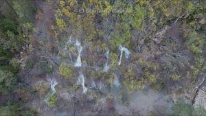 el cuiervo desde arriba