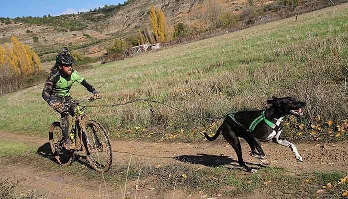 El próximo domingo, día 11 de noviembre, III Canicross Popular de Pareja