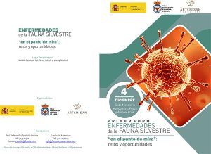 El ‘I Foro sobre enfermedades de fauna silvestre’ se celebrará el 4 de diciembre en Madrid 2 El ‘I Foro sobre enfermedades de fauna silvestre’ se celebrará el 4 de diciembre en Madrid