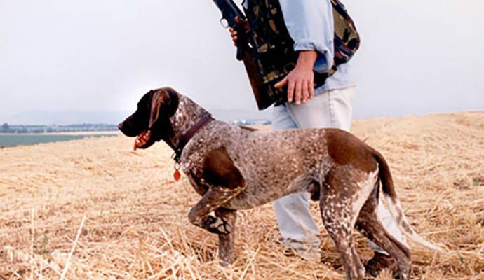 Encuentran en buen estado de salud al cazador desaparecido en Cantalojas