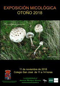 Exposición micológica el domingo 11 en el San José