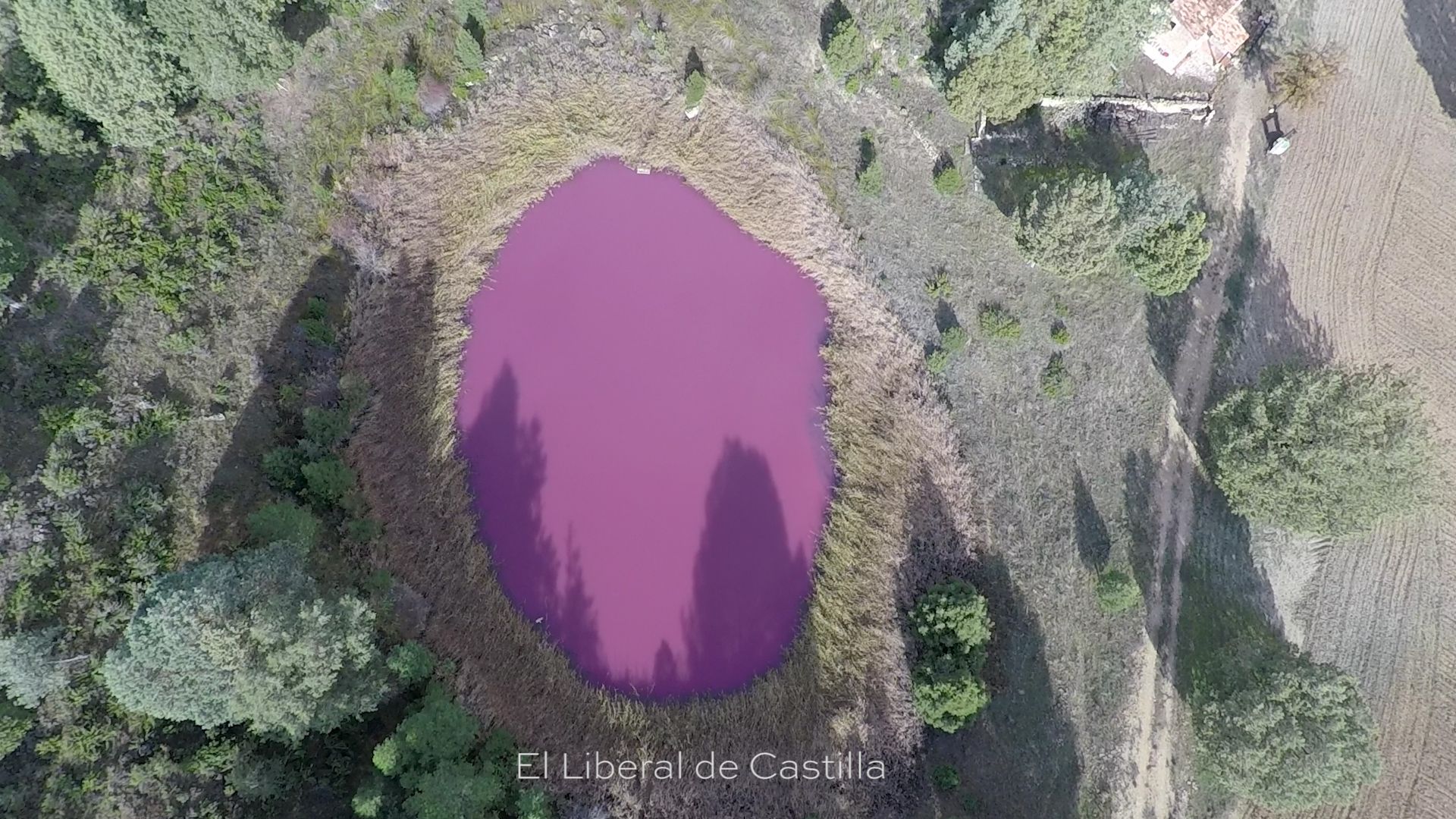 laguna rosa | Liberal de Castilla