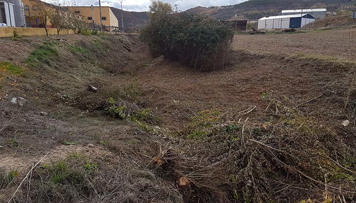 Limpieza del cauce del Río a su paso por Caracenilla
