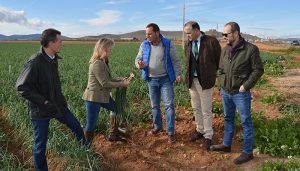 Merino denuncia el “abandono absoluto y mala gestión de los recursos del campo de Page” y asegura que para el PP de Castilla-La Mancha agricultores y ganaderos serán una prioridad
