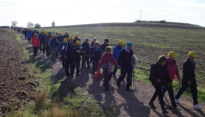 Un total de 545 mayores de la provincia de Guadalajara han participado este año en el programa de rutas senderistas