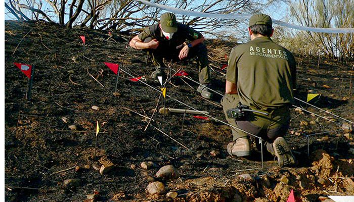 CCOO denuncia la privatización del “seguimiento de aves esteparias en ZEPAS y otras áreas CLM”