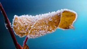 Inviernos más cálidos a finales de siglo, anticipa un informe sobre cambio climático traducido por la AEMET 2 Inviernos más cálidos a finales de siglo, anticipa un informe sobre cambio climático traducido por la AEMET