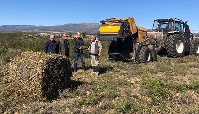 La Junta colabora con el Centro nacional de Desarrollo de Energías Renovables en un proyecto piloto para prevenir incendios forestales
