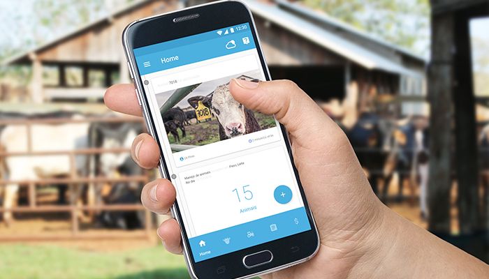 Telefónica premia tres iniciativas tecnológicas y sociales para impulsar la innovación sostenible