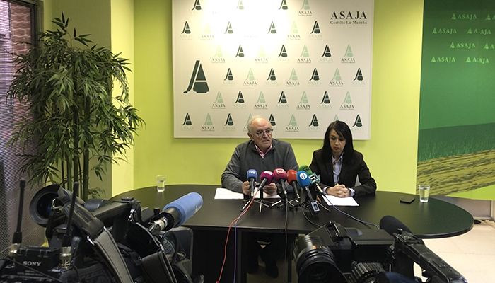 ASAJA CLM pide un cambio para la línea actual de reestructuración de viñedo