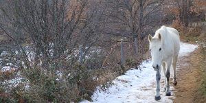 Aviso por la fuerte bajada de las temperaturas en toda la región, especialmente en  la provincia de Guadalajara