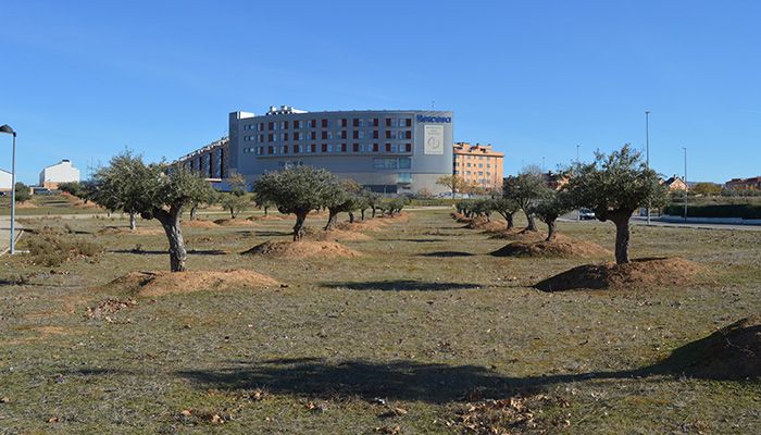 El Ayuntamiento de Guadalajara da los primeros pasos para que la ciudad disponga de 188 huertos urbanos
