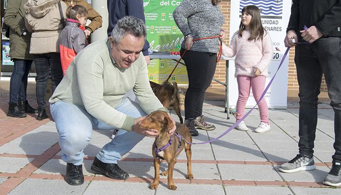 Hogar Amigo cierra el año con actos públicos en Cabanillas y Villanueva, menos perros en sus instalaciones y un 90% de adopciones