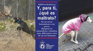La RFEC presenta la campaña “Y, para ti, ¿qué es maltrato”