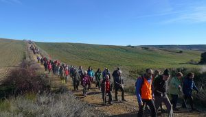 La ruta Campiñeando recorre las localidades Malaguilla- Fuentelahiguera de Albatages