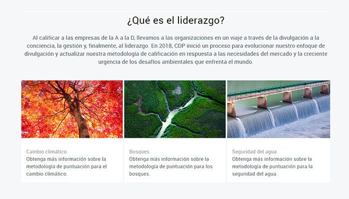 Telefónica, líder mundial en la gestión del cambio climático según la lista A del CDP