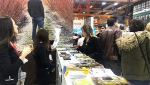 Una quincena de municipios presentarán de la mano de la Diputación de Cuenca su oferta turística en Fitur 2019 2 Una quincena de municipios presentarán de la mano de la Diputación de Cuenca su oferta turística en Fitur 2019