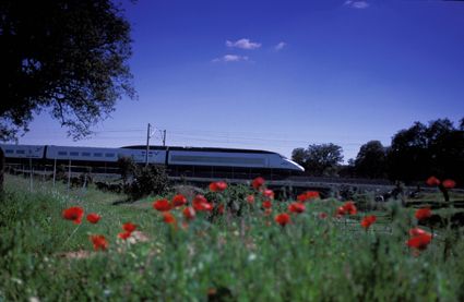 Adif AV adjudica la instalación de más de 450 km de vallado de refuerzo para proteger las vías frente a la entrada de conejos