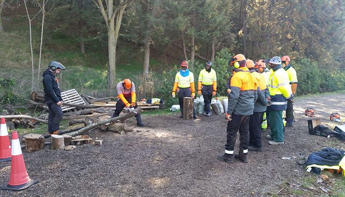 El Ayuntamiento de Guadalajara y la empresa SGR Arboricultura organizan un curso de manejo de motosierra y de técnicas de corte y poda