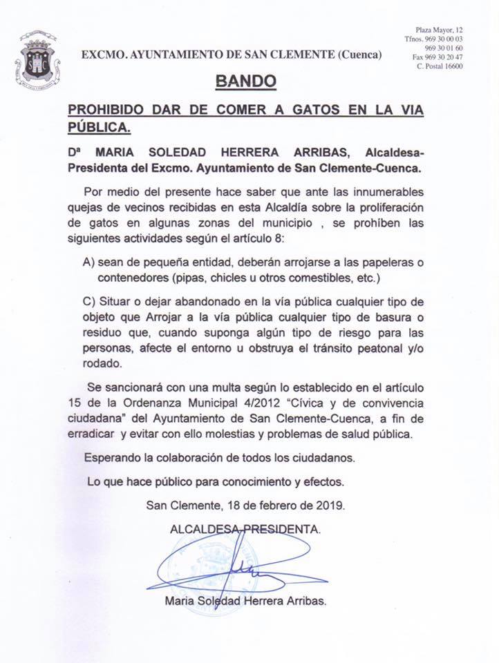 El Ayuntamiento de San Clemente multará por alimentar a gatos callejeros