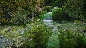El FESCIGU estrena el documental El agua secuestrada